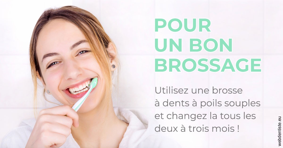 https://dr-clot-didier.chirurgiens-dentistes.fr/Pour un bon brossage 2
