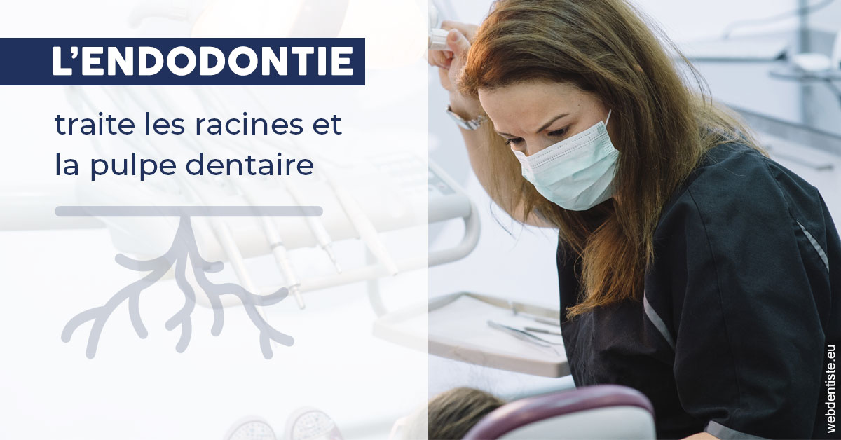 https://dr-clot-didier.chirurgiens-dentistes.fr/L'endodontie 1
