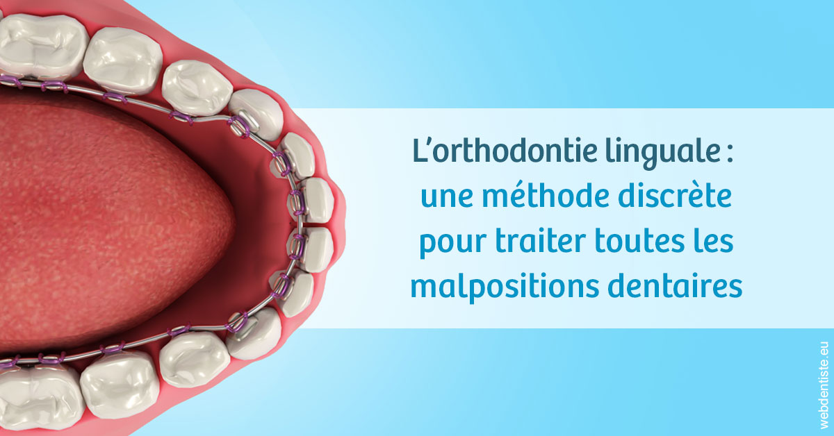 https://dr-clot-didier.chirurgiens-dentistes.fr/L'orthodontie linguale 1