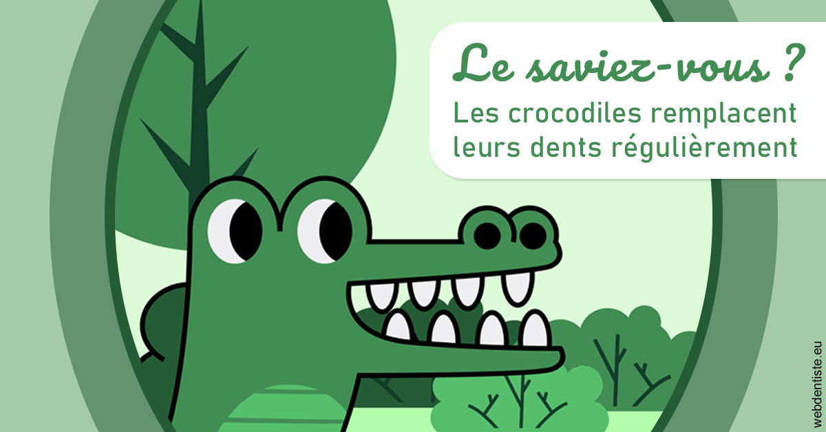 https://dr-clot-didier.chirurgiens-dentistes.fr/Crocodiles 2