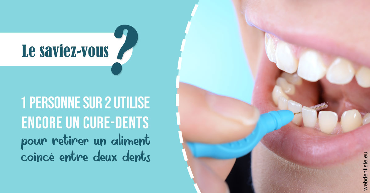 https://dr-clot-didier.chirurgiens-dentistes.fr/Cure-dents 1