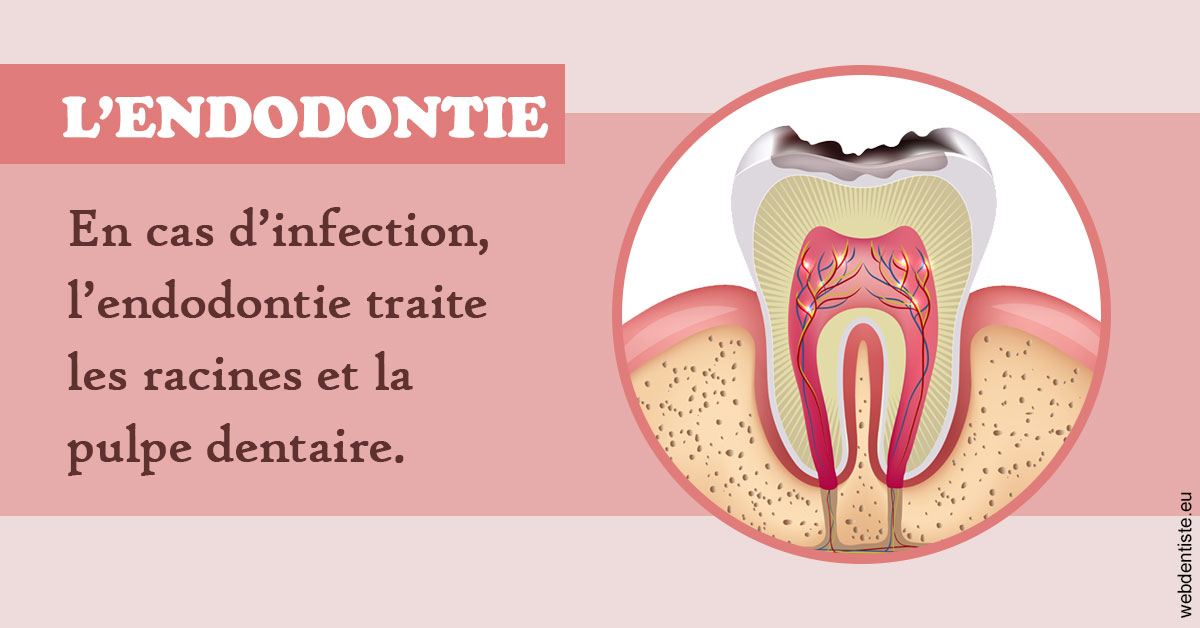 https://dr-clot-didier.chirurgiens-dentistes.fr/L'endodontie 2